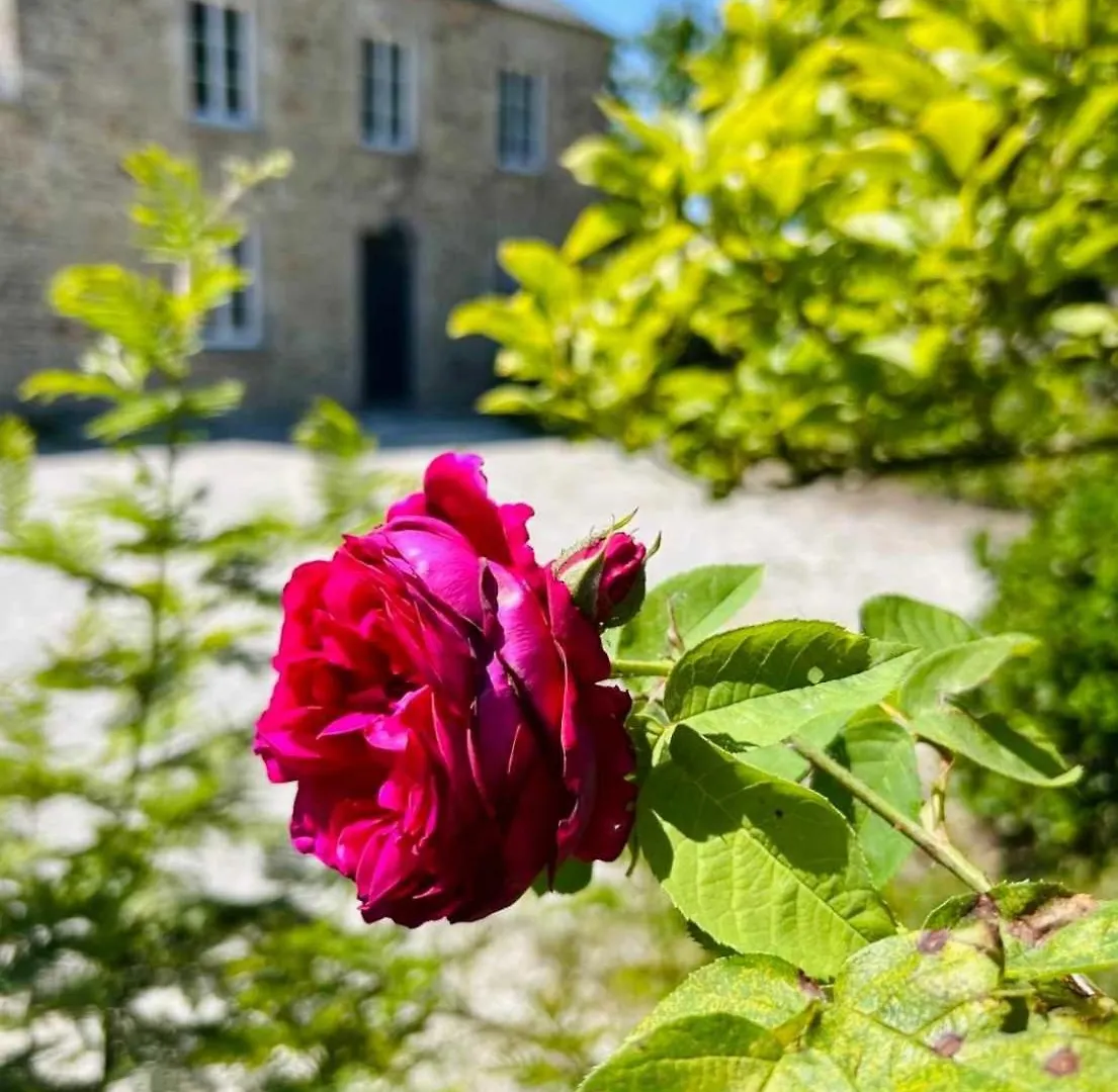 Le Clos Du Haut Gallion An Authentic Haven Of Peace Saint-Cyr  Frankrig